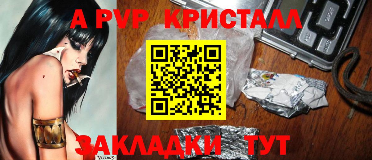 APVP СК Ухта