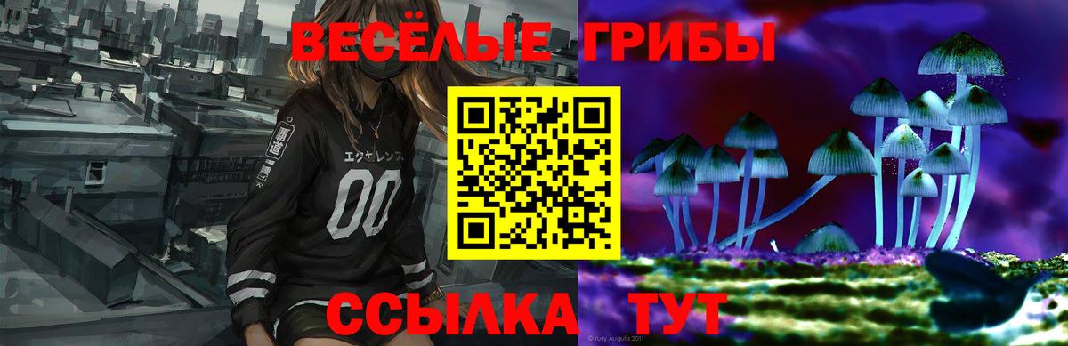 Псилоцибиновые грибы ЛСД Ухта